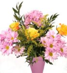 55-768×1024-1-e1658831908293